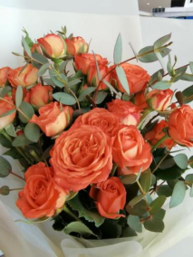 利来囯际·w66(中国游)官方网站