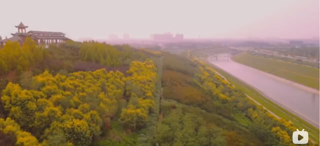 利来囯际·w66(中国游)官方网站