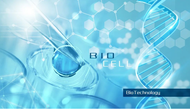 利来囯际·w66(中国游)官方网站